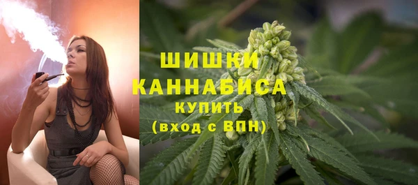 тгк Богородск