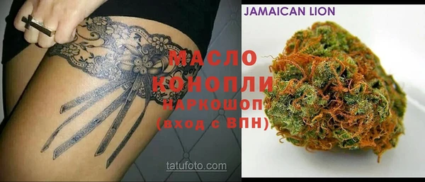 тгк Бородино